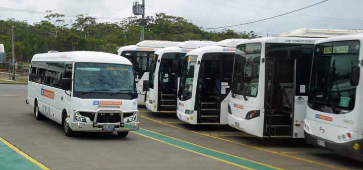 CDC Sunshine Coast Fuso Rosa 69